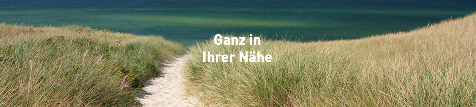 Dünen und Meer im Hintergrund