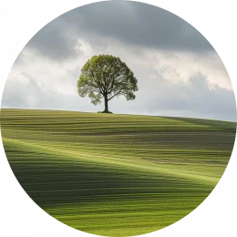Loges Auszubildende Baum Ausbildung Zahnmedizinische Fachangestellte Trittau, symbolisiert durch einen Baum für Zukunft im Gesundheitswesen